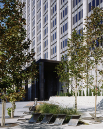 The Burton Law Firm Roseville, CA Office