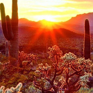 Burris & MacOmber, PLLC Tucson,  Office