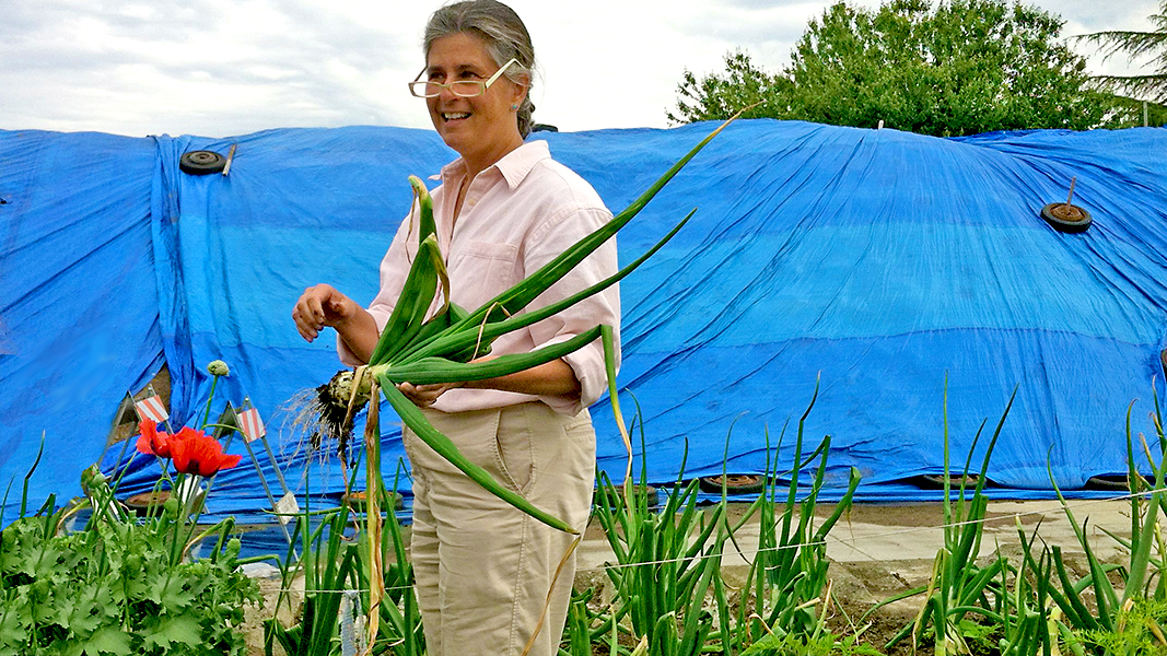 sb2 inc Philadelphia, PA Office