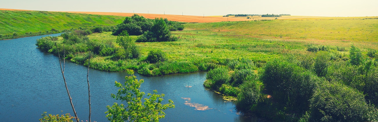 Harrison Temblador Hungerford & Guernsey Sacramento,  Office