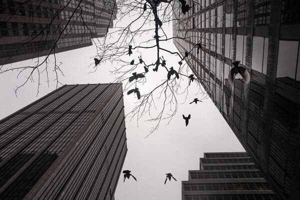 All Counsel PC New York City,  Office