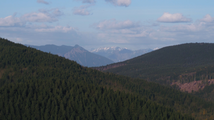 Maxwell Graham Law Issaquah, WA Office