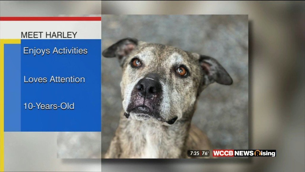 Auger & Auger Charlotte, NC Office