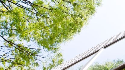 Chugh LLP Affiliate Network Waterloo, Canada Office