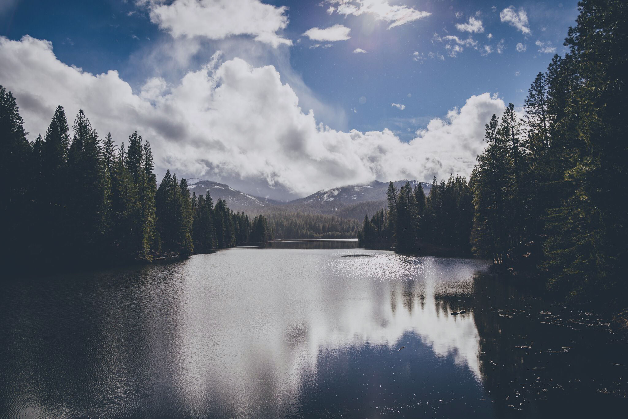 Thomas Law Group Sacramento, CA Office