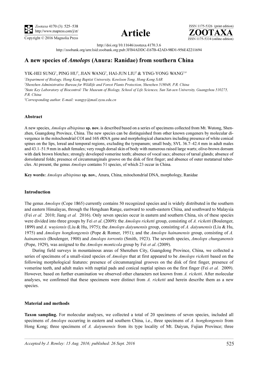 Wang Jing & Co Shenzhen, China Office