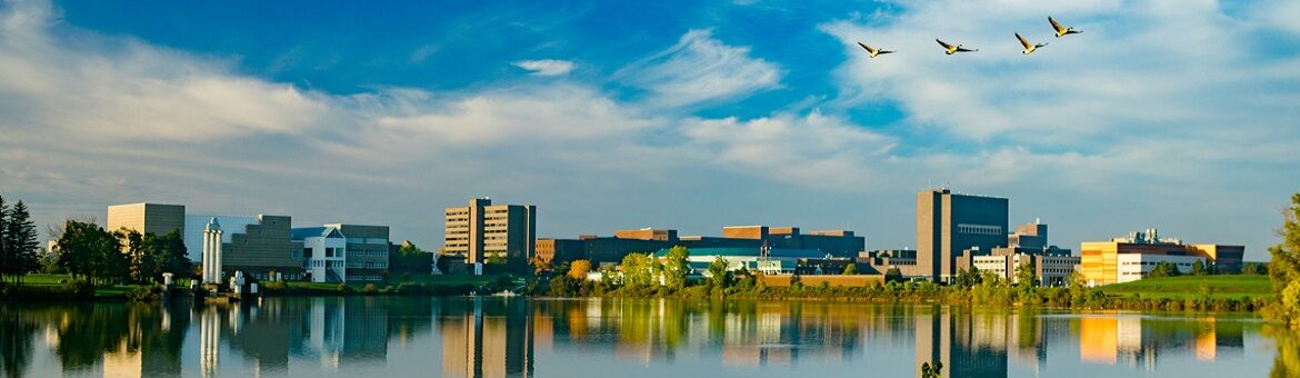 Francis M. Letro Buffalo, NY Office