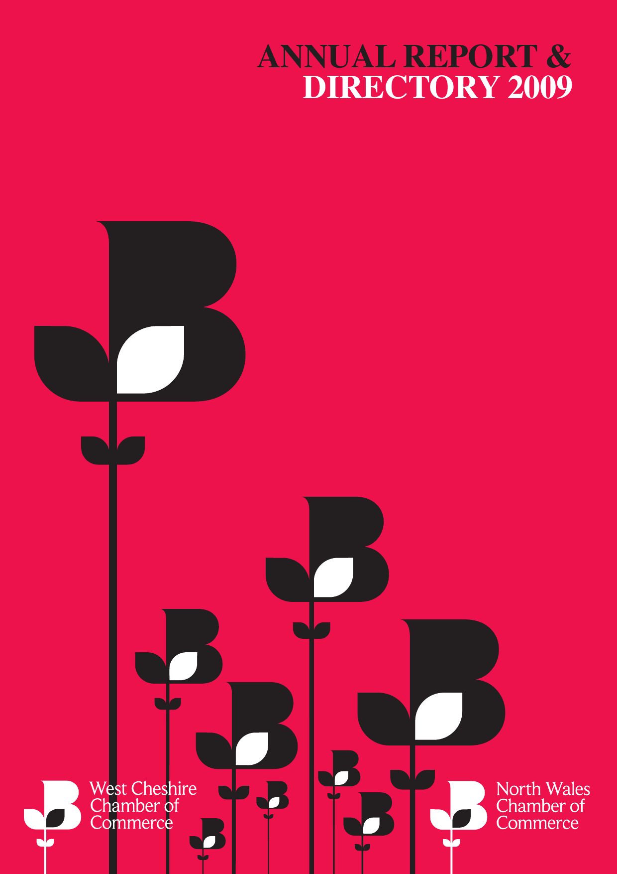 Hillyer McKeown Solicitors Chester, United Kingdom Office