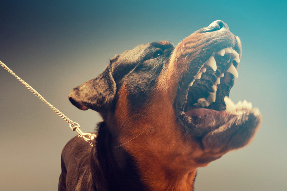 Whitener Law Firm, P.A Albuquerque, NM Office