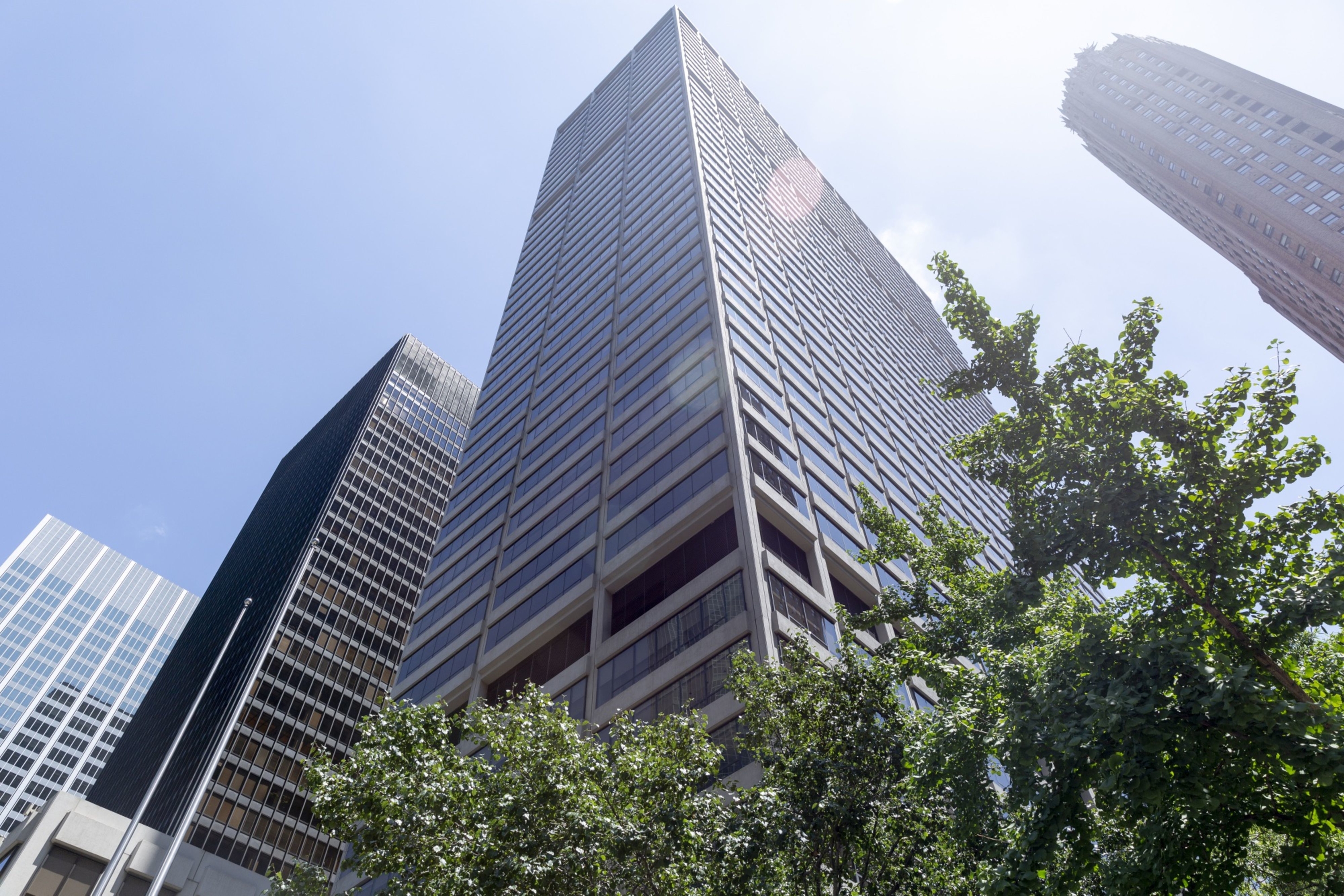 Blackstone Law Group LLP New York City,  Office