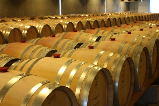 OMG Punta Cana, Dominican Republic Office