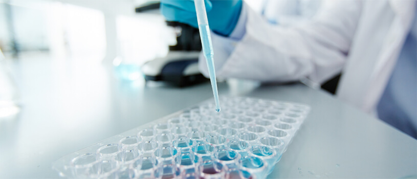 Greenblum & Bernstein, P.L.C Reston, VA Office