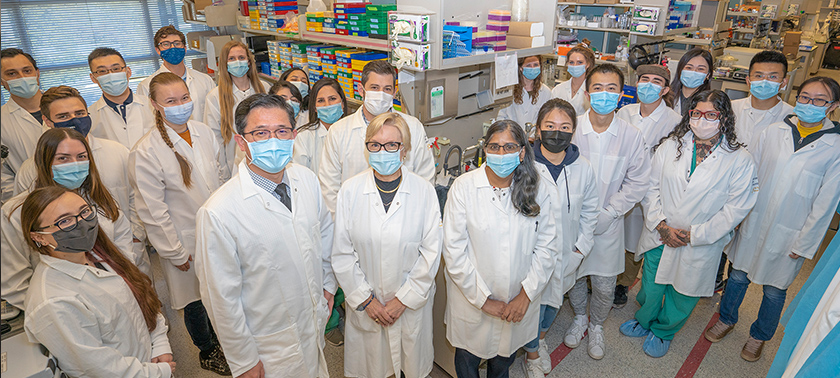 Davis Wang San Francisco,  Office