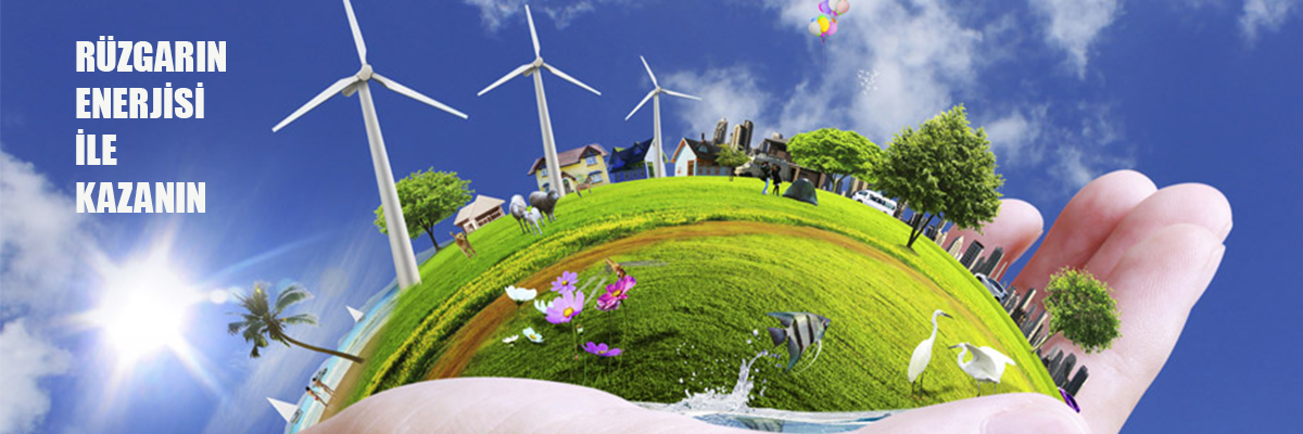 YPOL Pty Ltd Sydney, Australia Office