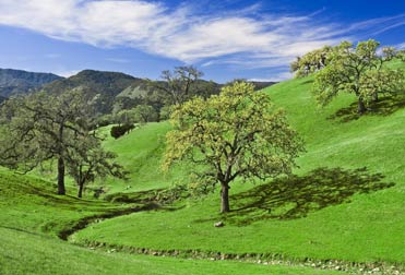 Adams Broadwell Joseph & Cardozo PC Sacramento, CA Office