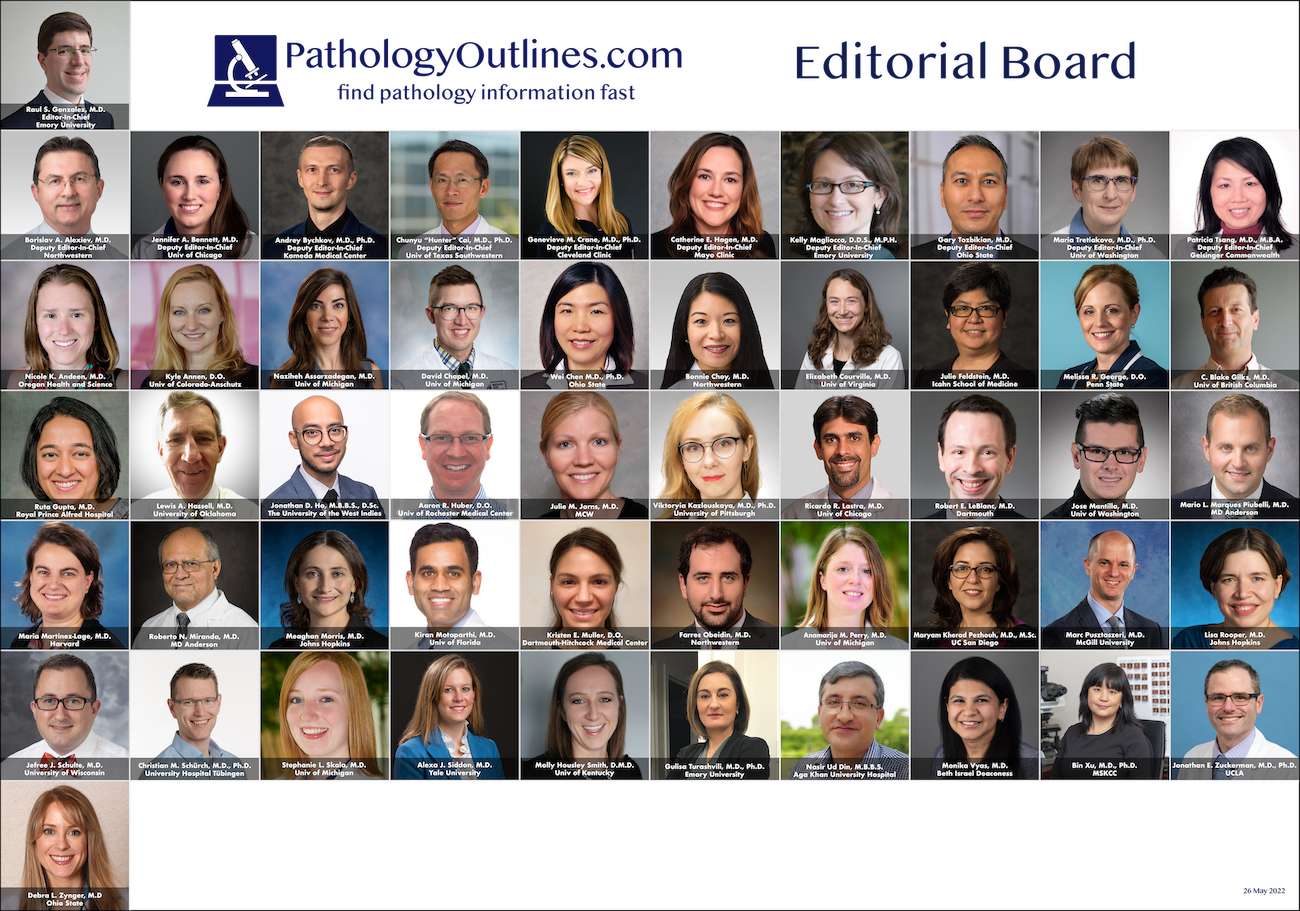 Our Advocate LLC Bingham Farms,  Office