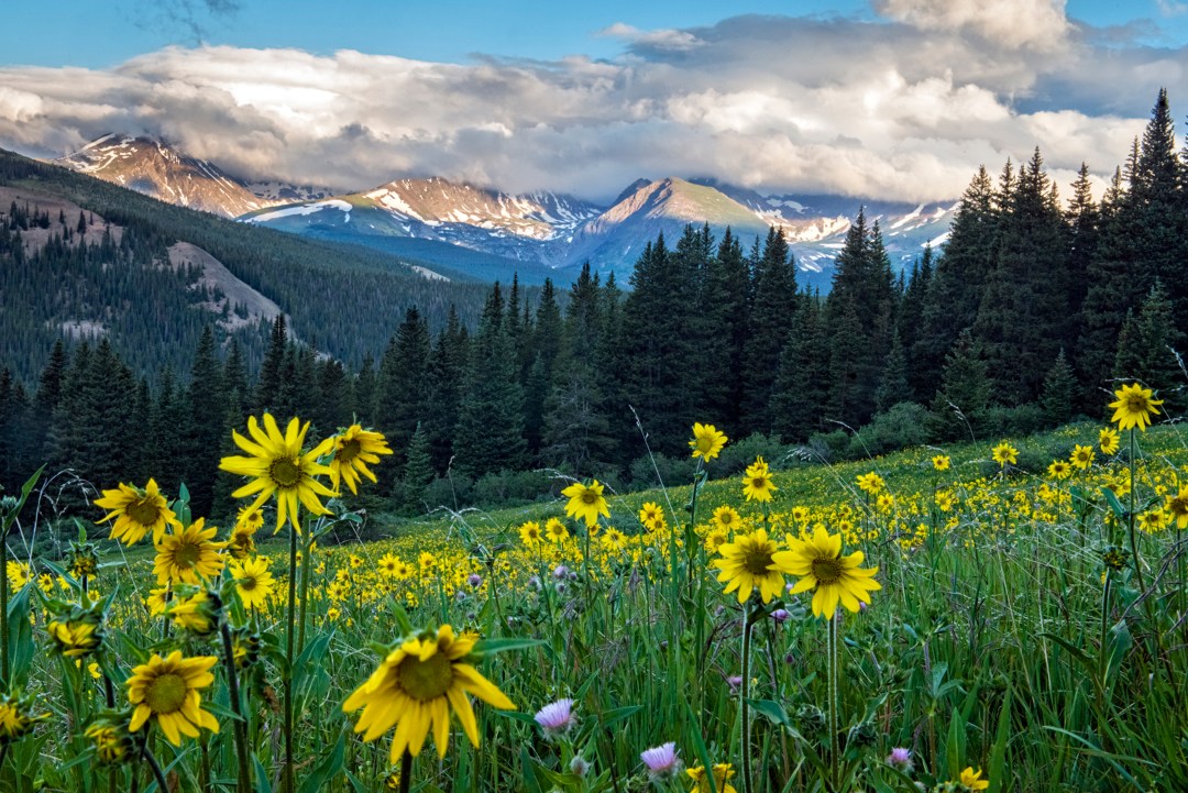 West Brown Huntley PC Breckenridge, CO Office