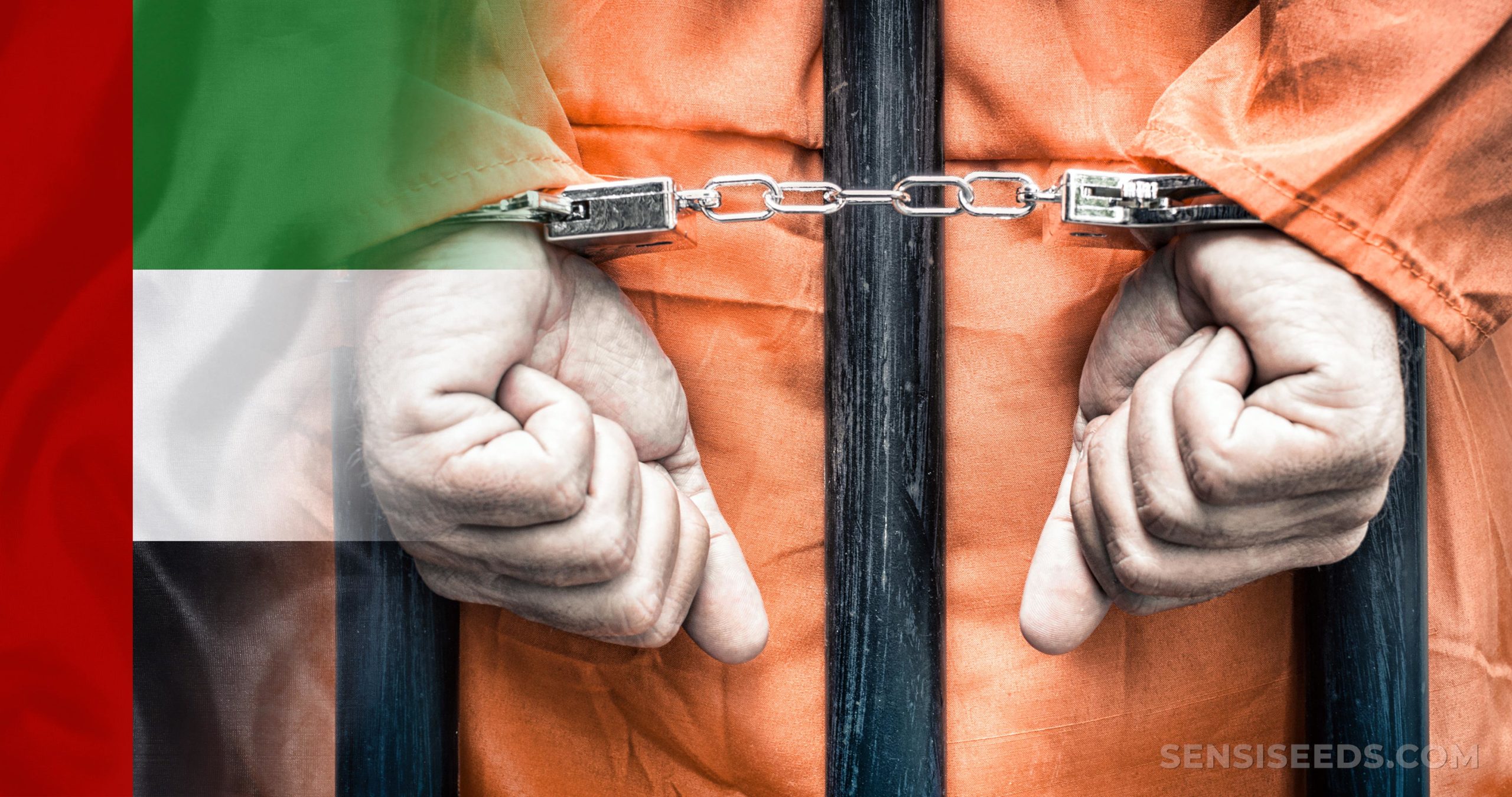 Emirates Advocates Ras al Khaimah, United Arab Emirates Office