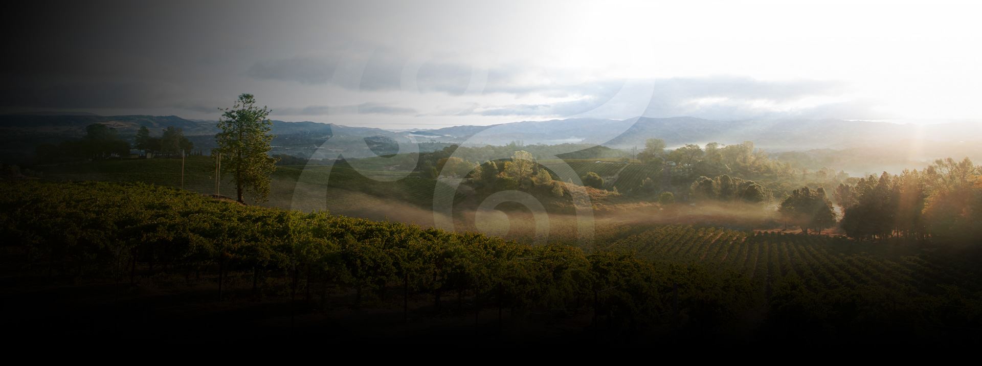 Abbey, Weitzenberg, Warren & Emery Santa Rosa, CA Office