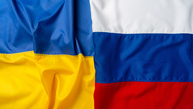 Lazarus Karp Ehrlich McCourt, LLP New York City,  Office