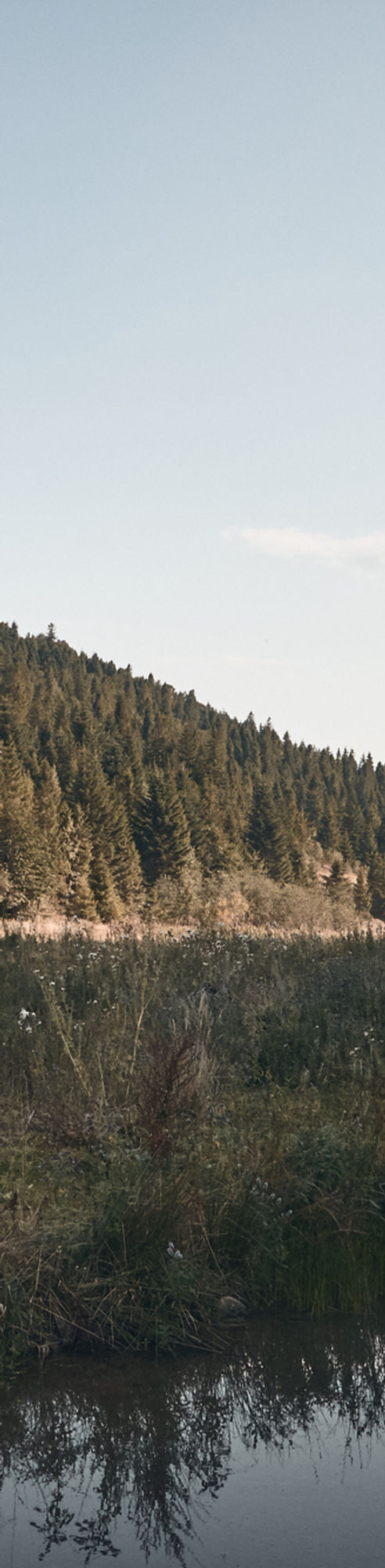 Seiter Legal Studio, A Law Corporation Santa Monica,  Office