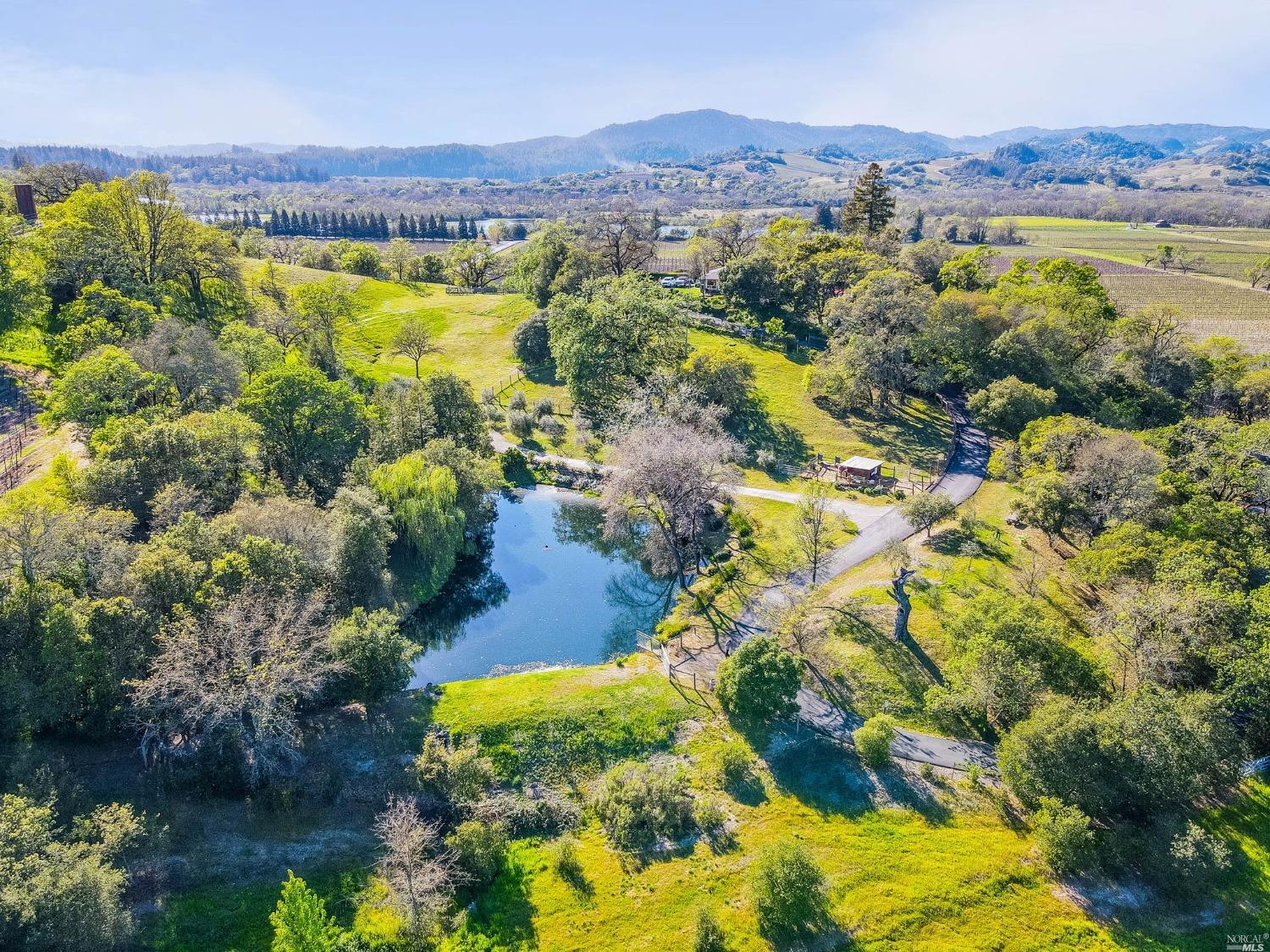 My Patent Guys Windsor,  Office