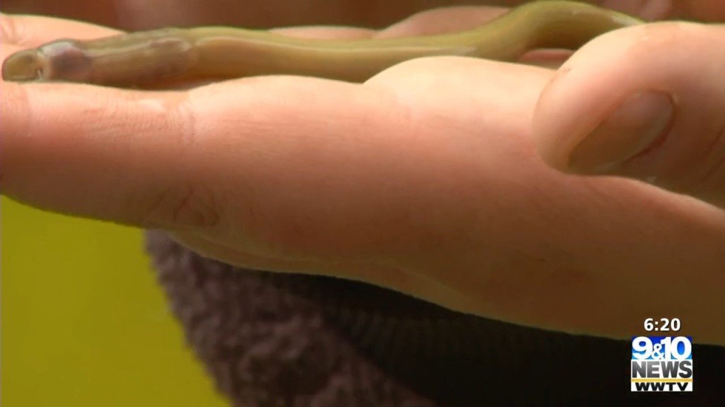 Brown & Brown PC St. Ignace, United States Office