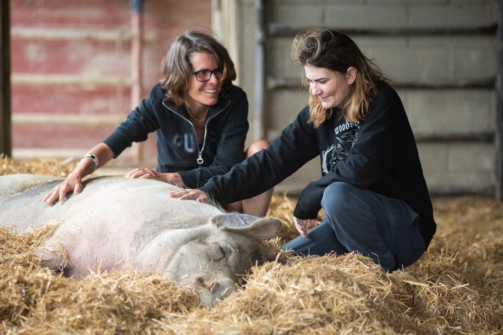 Payton Employment Law Acton, CA Office