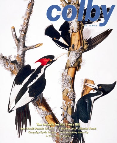 Melanie Shapiro, Esq Dedham,  Office