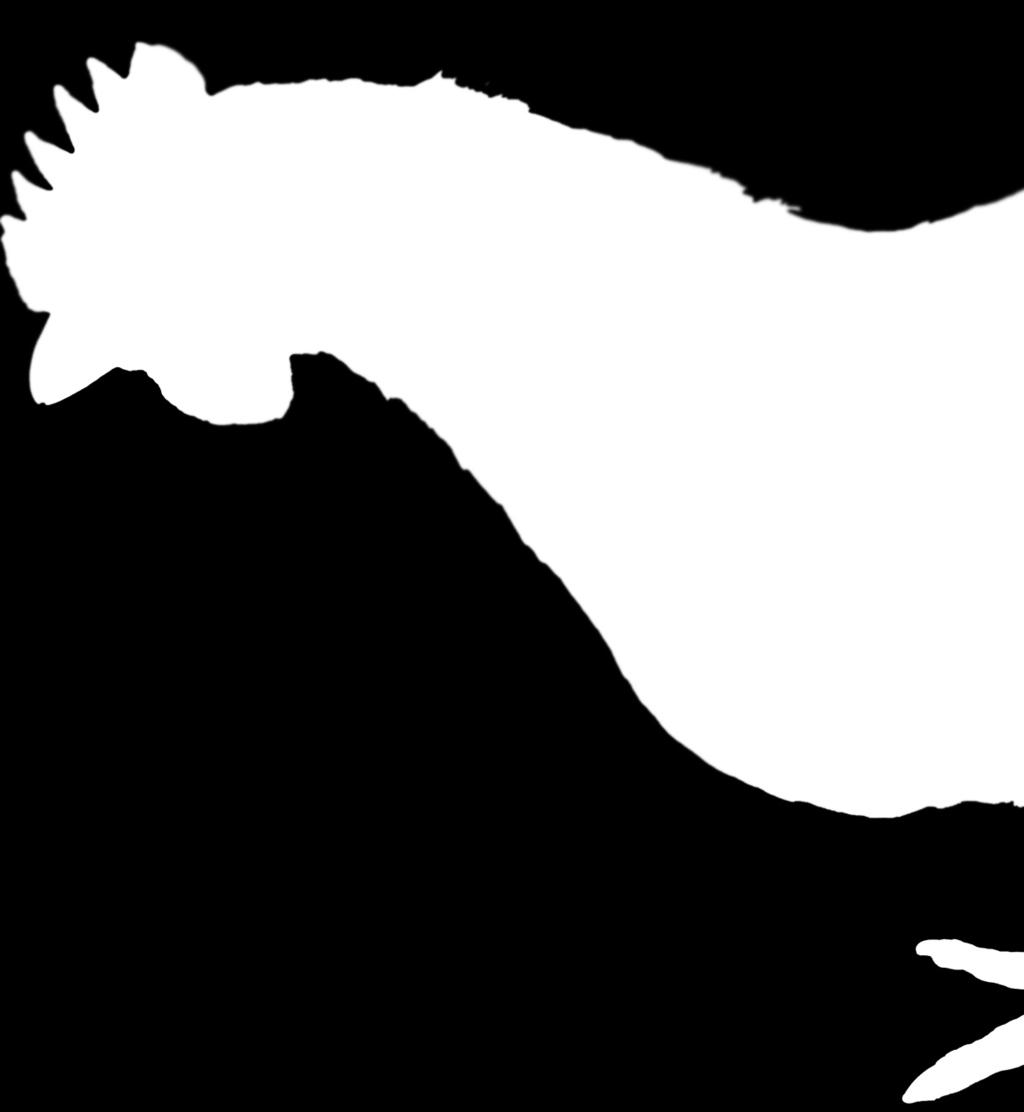 McCalla Raymer Leibert Pierce, LLC Jasper, GA Office