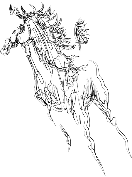 Casey Bailey & Maines PLLC Lexington, KY Office