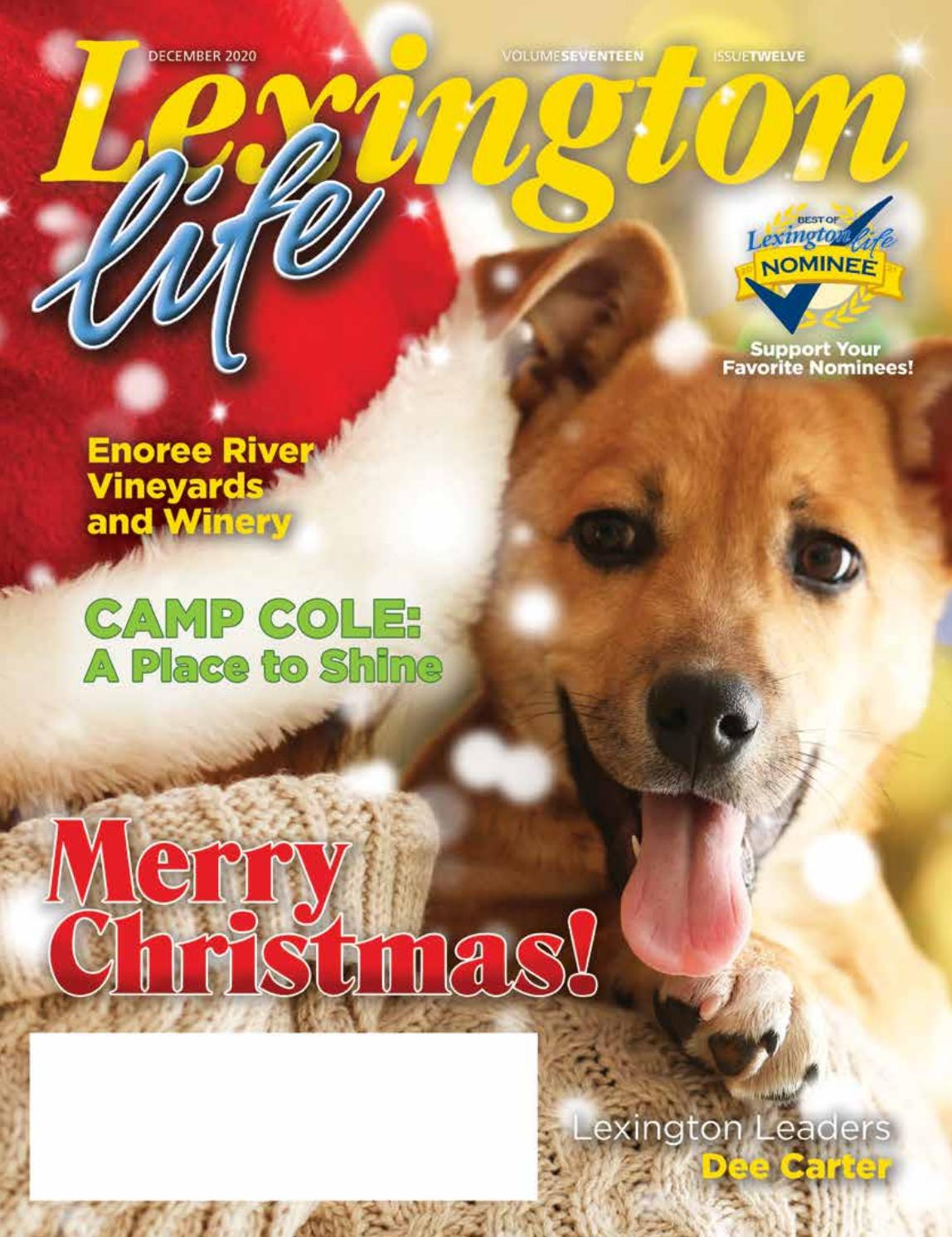 Christmas Injury Lawyers Lexington, SC Office