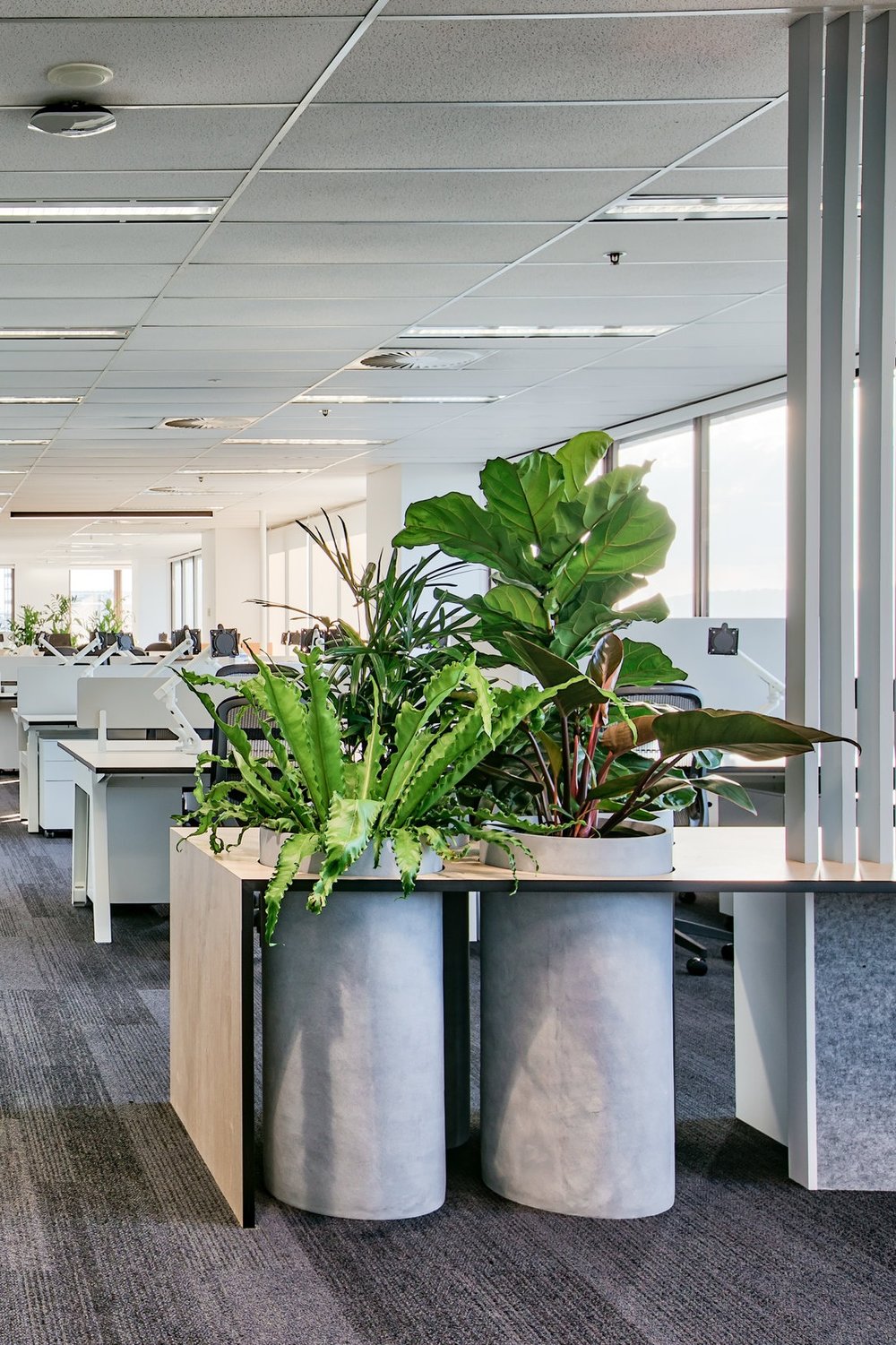 Baker McKenzie Brisbane, Australia Office