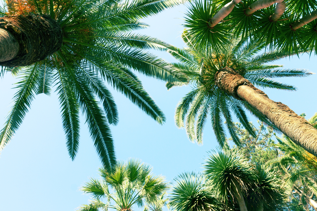 Groelle & Salmon, P.A Wellington, FL Office