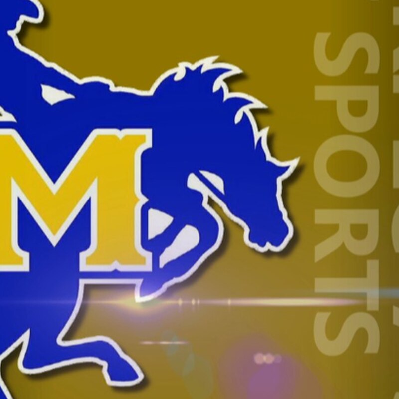 Plauche Smith & Nieset, LLC Lake Charles, LA Office