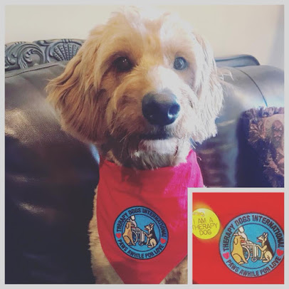 Sterk Family Law Group Orland Park,  Office