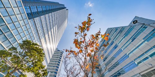 Freemans Solicitors London, UK-England Office