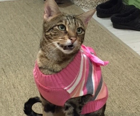 Possinger Law Firm, PLLC Woodinville, WA Office