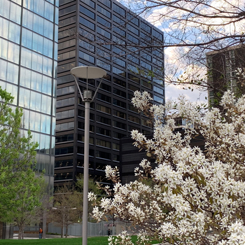 Bonezzi Switzer Polito & Perry Co. LPA Saint Petersburg, FL Office