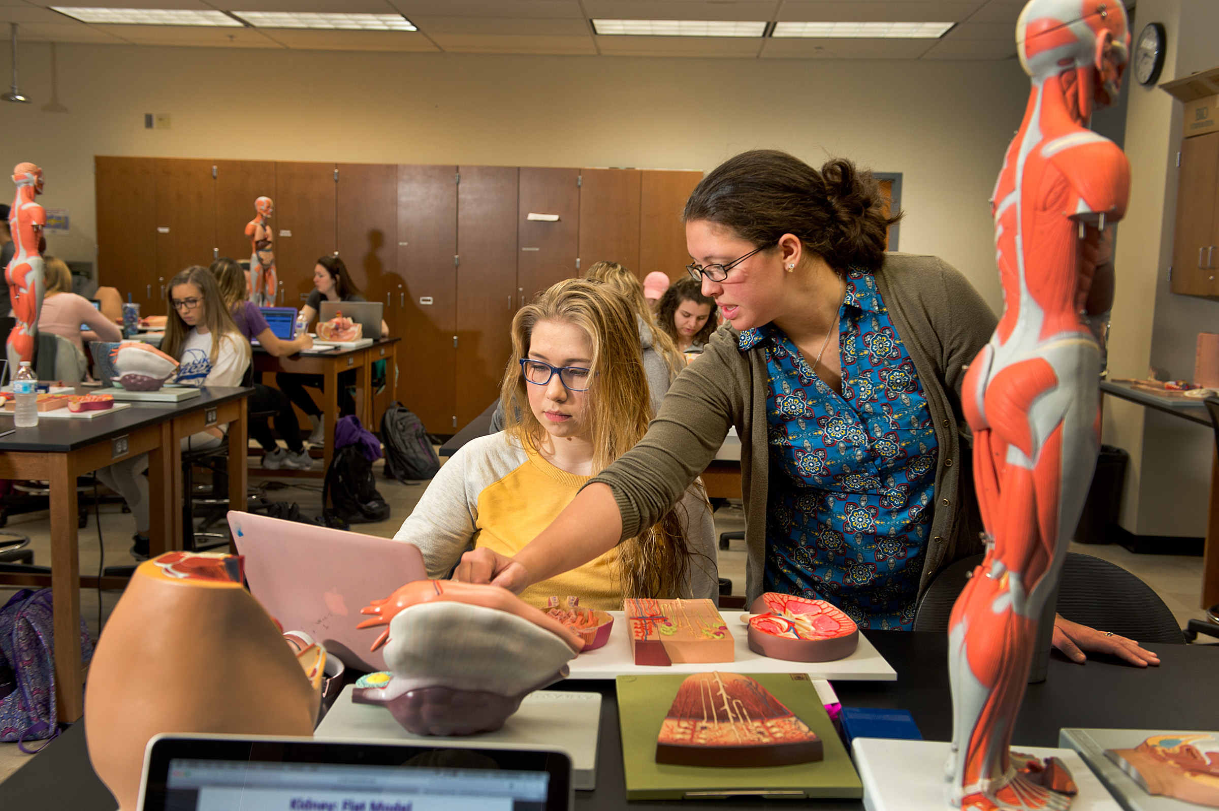 The Scanlon Group Akron, OH Office