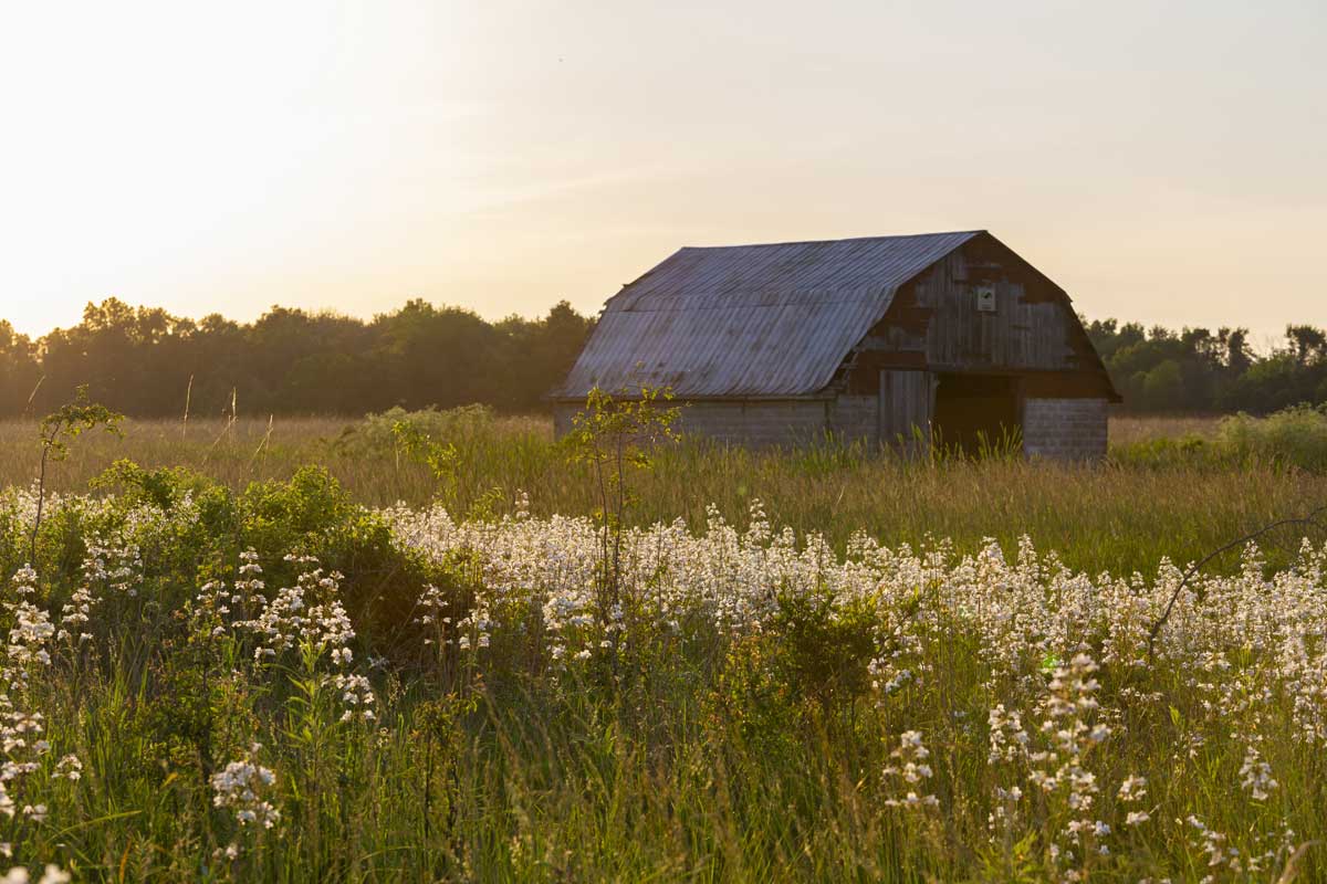 Matuszewich & Kelly, LLP Chicago, IL Office