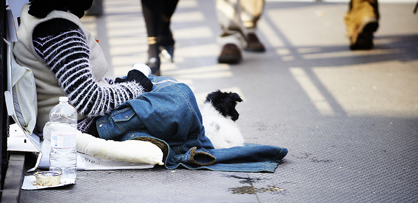 Thomson Geer Adelaide, Australia Office