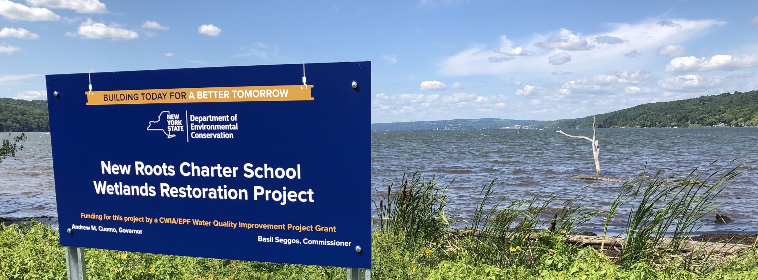 Thaler & Thaler Ithaca, NY Office