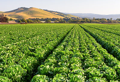 Bradford & Barthel, LLP Redding, CA Office