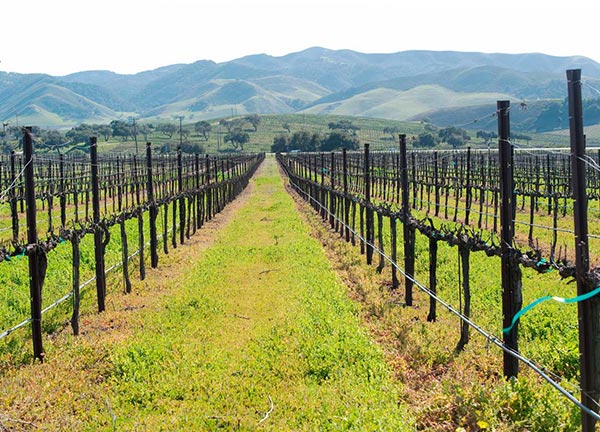 Glick Haupt Marino LLP San Luis Obispo,  Office