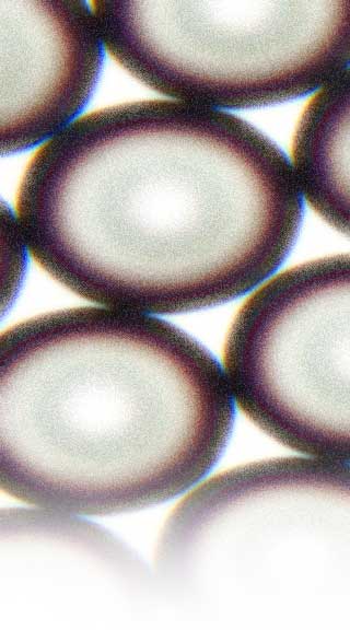 QuineIP Law Group, P.C Alameda, CA Office