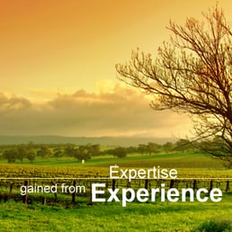 Abbey, Weitzenberg, Warren & Emery Santa Rosa, CA Office