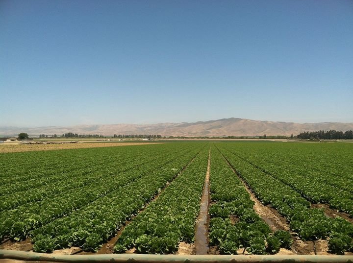 Anastassiou & Associates Salinas, CA Office