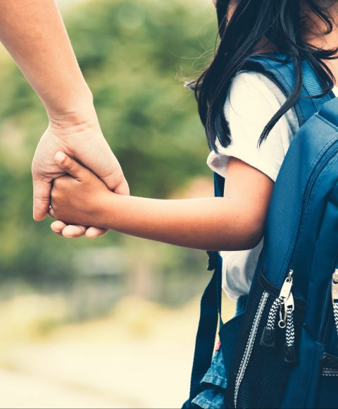 Lucido& Manzella, P.C Clinton Township, MI Office