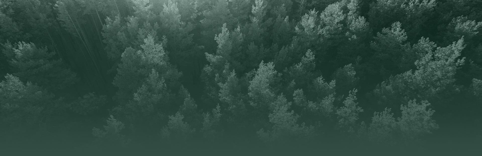 Berkich Lucey Law Group Carson City,  Office